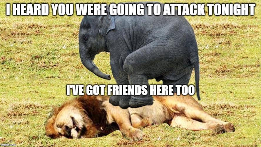 elephant sit | I HEARD YOU WERE GOING TO ATTACK TONIGHT; I'VE GOT FRIENDS HERE TOO | image tagged in animals | made w/ Imgflip meme maker