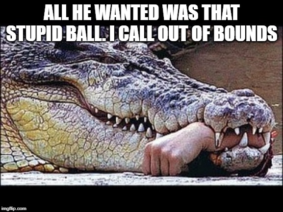 out of bounds | ALL HE WANTED WAS THAT STUPID BALL. I CALL OUT OF BOUNDS | image tagged in animals | made w/ Imgflip meme maker