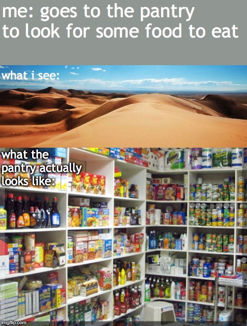 me: goes to the pantry to look for some food to eat; what i see:; what the pantry actually looks like: | image tagged in true | made w/ Imgflip meme maker