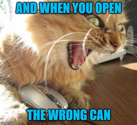 angry cat | AND WHEN YOU OPEN THE WRONG CAN | image tagged in angry cat | made w/ Imgflip meme maker