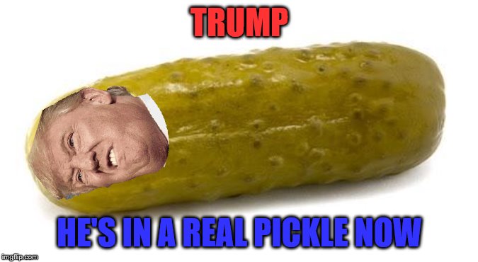Pickle | TRUMP; HE'S IN A REAL PICKLE NOW | image tagged in pickle | made w/ Imgflip meme maker