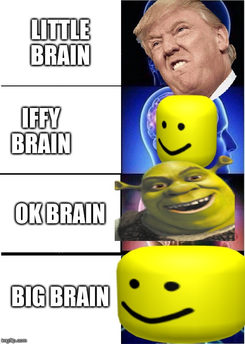 Expanding Brain Meme | LITTLE BRAIN; IFFY BRAIN; OK BRAIN; BIG BRAIN | image tagged in memes,expanding brain | made w/ Imgflip meme maker