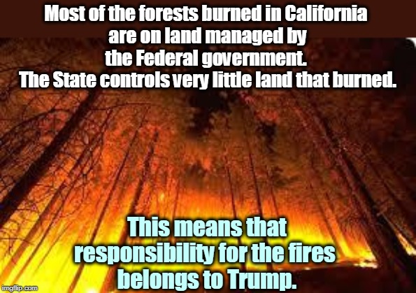 Trump may know how to manicure golf courses, but he doesn't know spit about forests. | Most of the forests burned in California 
are on land managed by the Federal government. 
The State controls very little land that burned. This means that responsibility for the fires 
belongs to Trump. | image tagged in forest fire,trump,president,governor,california,forest | made w/ Imgflip meme maker