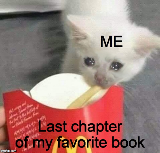 ME; Last chapter of my favorite book | image tagged in cats,books,sad cat,french fry cat,cat | made w/ Imgflip meme maker