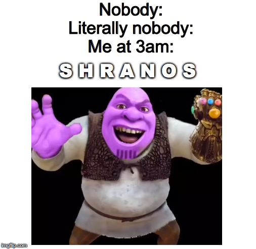 Nobody:
Literally nobody:
Me at 3am:; S H R A N O S | image tagged in blank white template | made w/ Imgflip meme maker