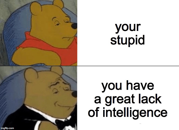 Tuxedo Winnie The Pooh Meme | your stupid; you have a great lack of intelligence | image tagged in memes,tuxedo winnie the pooh | made w/ Imgflip meme maker