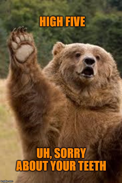 grizzly bear |  HIGH FIVE; UH, SORRY ABOUT YOUR TEETH | image tagged in grizzly bear,funny | made w/ Imgflip meme maker