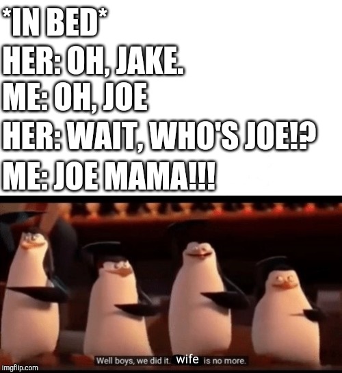 Well boys, we did it (blank) is no more | *IN BED*; HER: OH, JAKE. ME: OH, JOE; HER: WAIT, WHO'S JOE!? ME: JOE MAMA!!! wife | image tagged in well boys we did it blank is no more | made w/ Imgflip meme maker