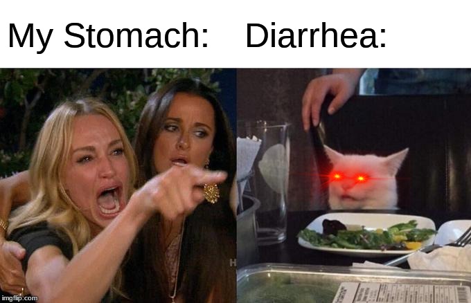 Woman Yelling At Cat | My Stomach:; Diarrhea: | image tagged in memes,woman yelling at a cat,diarrhea,stomach,ouch,shit | made w/ Imgflip meme maker