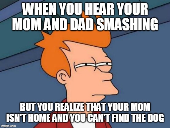 Futurama Fry | WHEN YOU HEAR YOUR MOM AND DAD SMASHING; BUT YOU REALIZE THAT YOUR MOM ISN'T HOME AND YOU CAN'T FIND THE DOG | image tagged in memes,futurama fry | made w/ Imgflip meme maker
