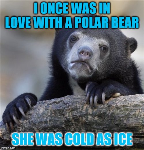 Confession Bear | I ONCE WAS IN LOVE WITH A POLAR BEAR; SHE WAS COLD AS ICE | image tagged in memes,confession bear | made w/ Imgflip meme maker