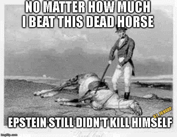 Just a Joke HRC, Honest... | NO MATTER HOW MUCH I BEAT THIS DEAD HORSE; EPSTEIN STILL DIDN'T KILL HIMSELF; GT_FOHGOP | image tagged in jeffrey epstein,dead horse,suicide | made w/ Imgflip meme maker