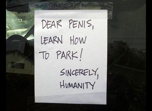 image tagged in funny