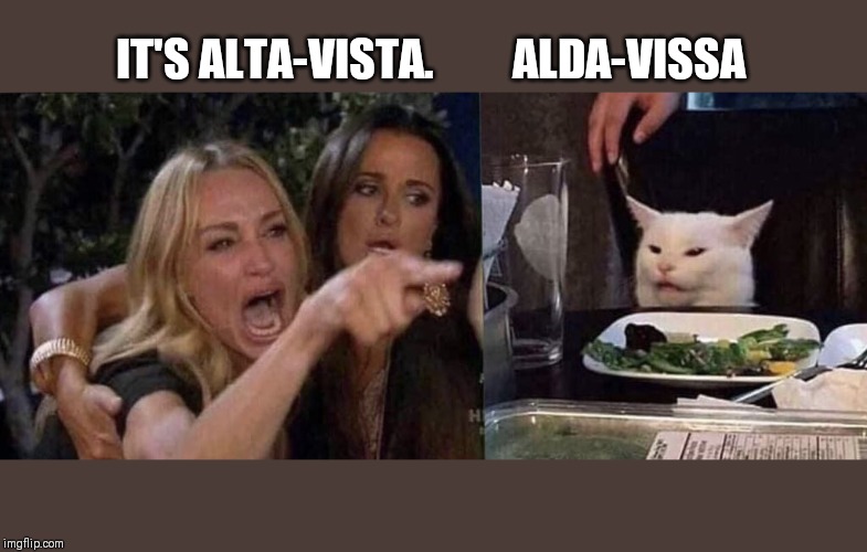 woman yelling at cat | IT'S ALTA-VISTA.         ALDA-VISSA | image tagged in woman yelling at cat | made w/ Imgflip meme maker