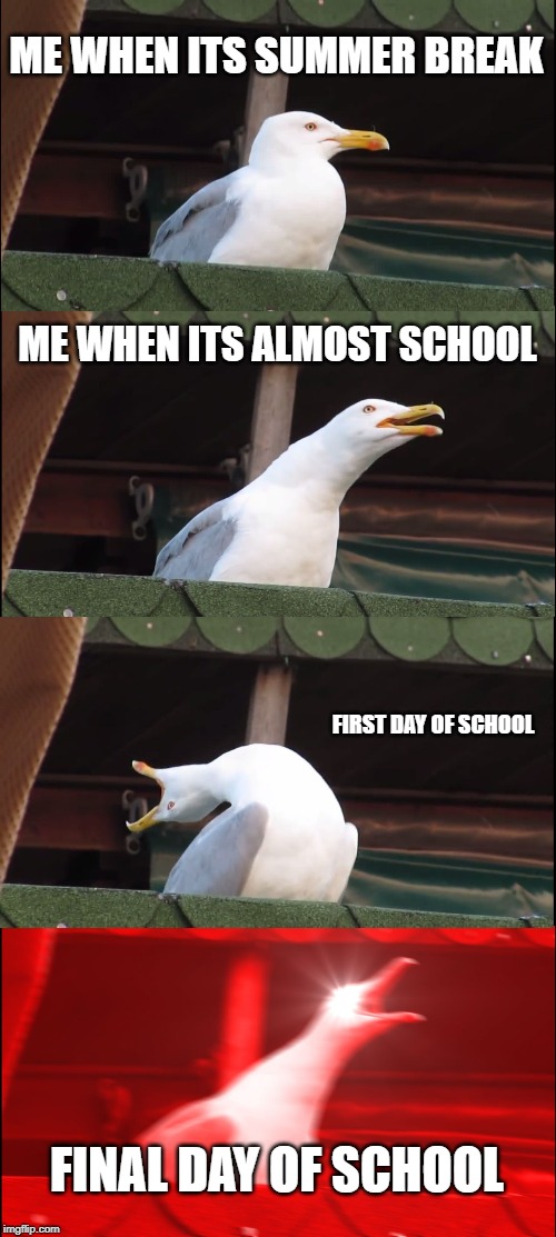 Inhaling Seagull Meme | ME WHEN ITS SUMMER BREAK; ME WHEN ITS ALMOST SCHOOL; FIRST DAY OF SCHOOL; FINAL DAY OF SCHOOL | image tagged in memes,inhaling seagull | made w/ Imgflip meme maker