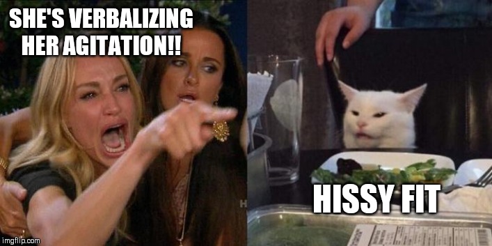 Woman Screaming at Cat | SHE'S VERBALIZING HER AGITATION!! HISSY FIT | image tagged in woman screaming at cat | made w/ Imgflip meme maker