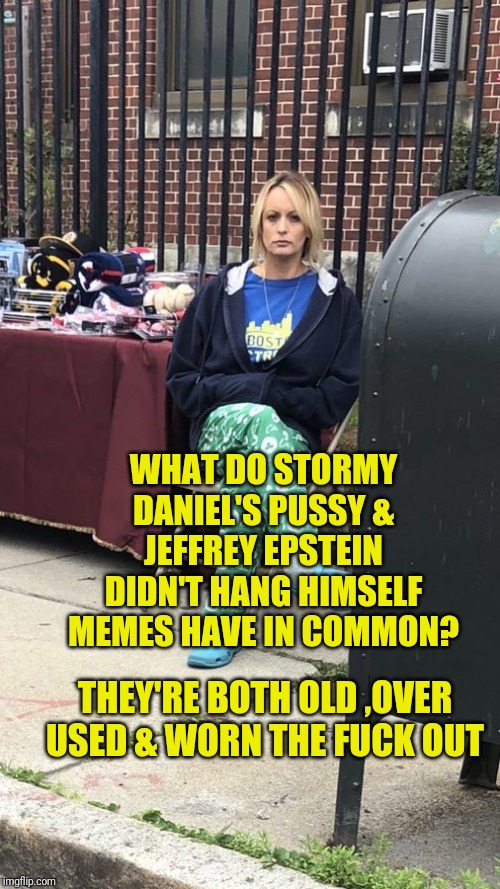 Stormy Daniels  | WHAT DO STORMY DANIEL'S PUSSY & JEFFREY EPSTEIN DIDN'T HANG HIMSELF MEMES HAVE IN COMMON? THEY'RE BOTH OLD ,OVER USED & WORN THE FUCK OUT | image tagged in stormy daniels | made w/ Imgflip meme maker