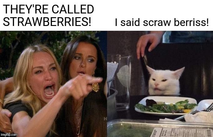 Woman Yelling At Cat Meme | THEY'RE CALLED STRAWBERRIES! I said scraw berriss! | image tagged in memes,woman yelling at a cat | made w/ Imgflip meme maker