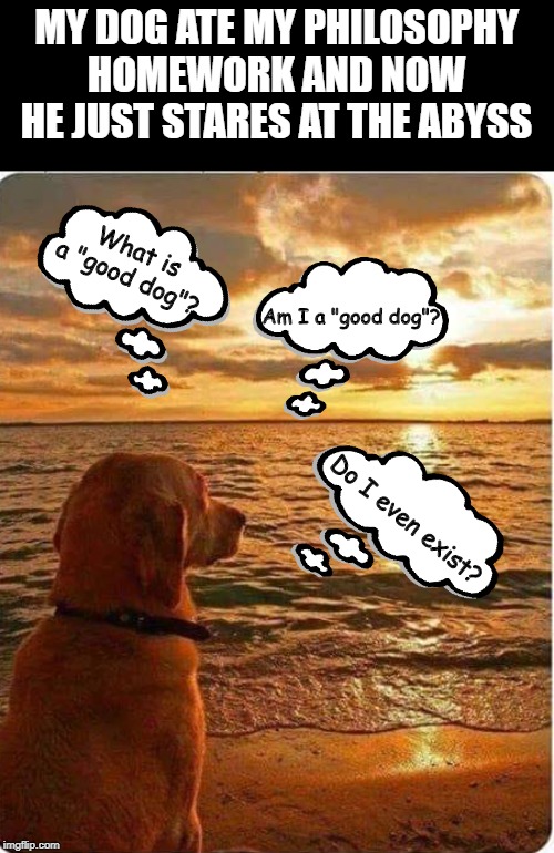philosophical dog | MY DOG ATE MY PHILOSOPHY HOMEWORK AND NOW HE JUST STARES AT THE ABYSS; What is a "good dog"? Am I a "good dog"? Do I even exist? | image tagged in philosophical dog | made w/ Imgflip meme maker