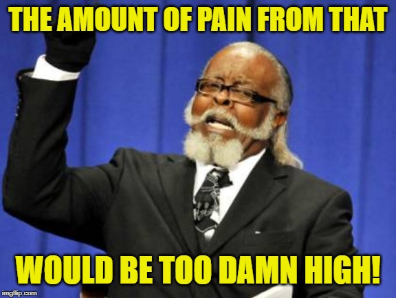 Too Damn High Meme | THE AMOUNT OF PAIN FROM THAT WOULD BE TOO DAMN HIGH! | image tagged in memes,too damn high | made w/ Imgflip meme maker