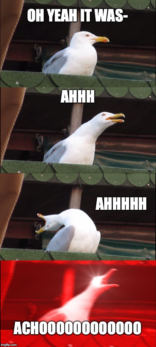 Inhaling Seagull Meme | OH YEAH IT WAS-; AHHH; AHHHHH; ACHOOOOOOOOOOOO | image tagged in memes,inhaling seagull | made w/ Imgflip meme maker