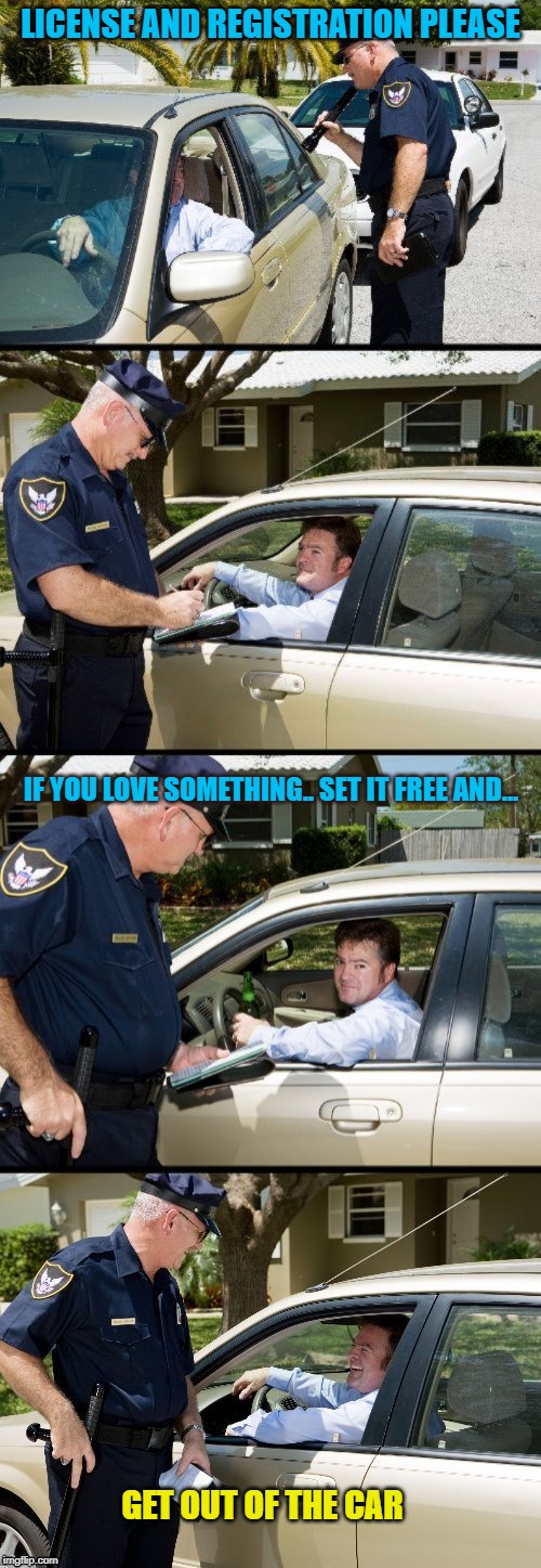 Pulled over | LICENSE AND REGISTRATION PLEASE; IF YOU LOVE SOMETHING.. SET IT FREE AND... GET OUT OF THE CAR | image tagged in pulled over | made w/ Imgflip meme maker