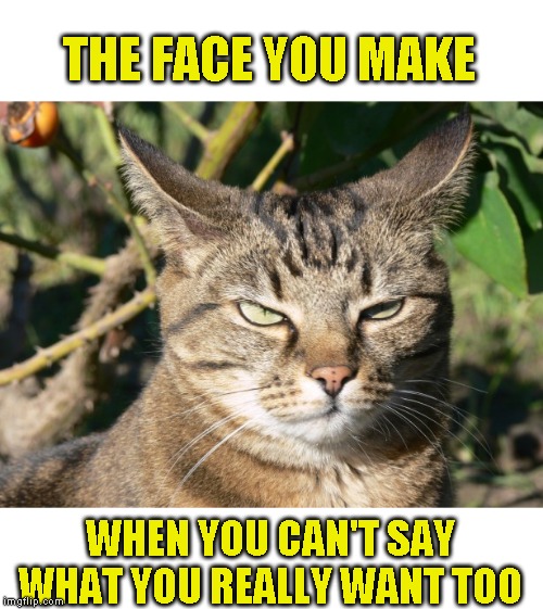 bosses, spouses, judges....you will only make it worse and you know it | THE FACE YOU MAKE; WHEN YOU CAN'T SAY WHAT YOU REALLY WANT TOO | image tagged in just a joke | made w/ Imgflip meme maker