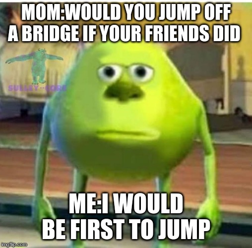 MOM:WOULD YOU JUMP OFF A BRIDGE IF YOUR FRIENDS DID; ME:I WOULD BE FIRST TO JUMP | image tagged in funny | made w/ Imgflip meme maker