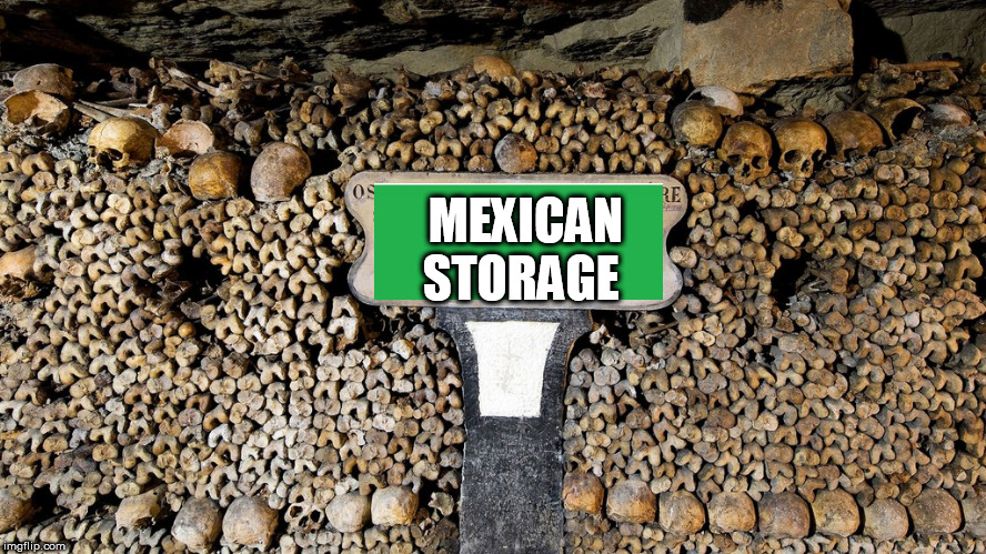 mex Blank Meme Template