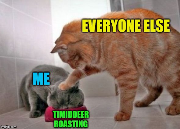 Force feed cat | EVERYONE ELSE TIMIDDEER ROASTING ME | image tagged in force feed cat | made w/ Imgflip meme maker