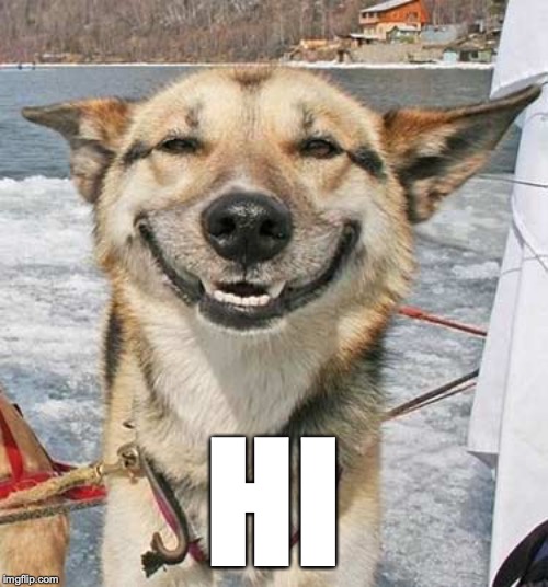 Happy Dog | HI | image tagged in happy dog | made w/ Imgflip meme maker