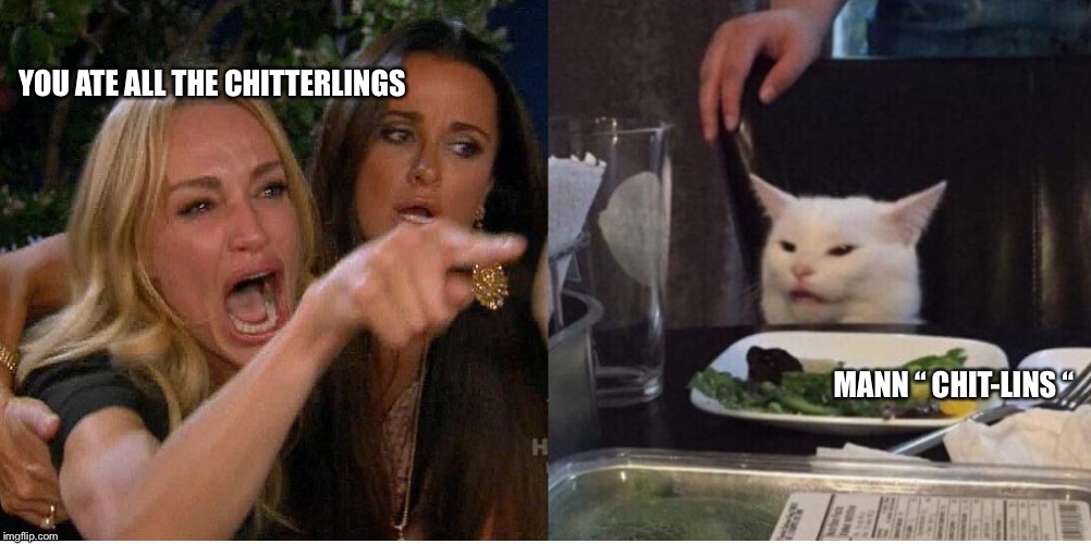 salad cat | YOU ATE ALL THE CHITTERLINGS; MANN “ CHIT-LINS “ | image tagged in salad cat | made w/ Imgflip meme maker