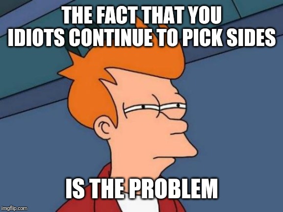 Futurama Fry Meme | THE FACT THAT YOU IDIOTS CONTINUE TO PICK SIDES IS THE PROBLEM | image tagged in memes,futurama fry | made w/ Imgflip meme maker