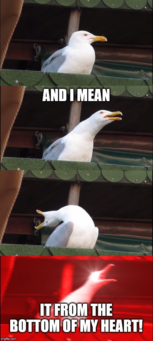 Inhaling Seagull Meme | AND I MEAN IT FROM THE BOTTOM OF MY HEART! | image tagged in memes,inhaling seagull | made w/ Imgflip meme maker