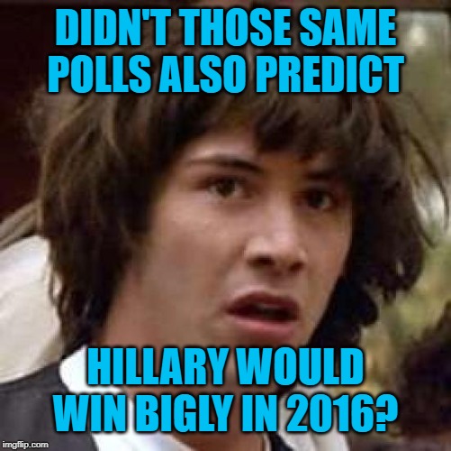 Conspiracy Keanu Meme | DIDN'T THOSE SAME POLLS ALSO PREDICT HILLARY WOULD WIN BIGLY IN 2016? | image tagged in memes,conspiracy keanu | made w/ Imgflip meme maker