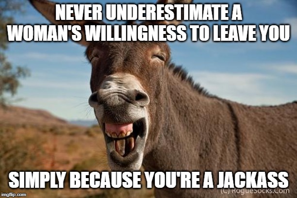 Donkey Jackass Braying | NEVER UNDERESTIMATE A WOMAN'S WILLINGNESS TO LEAVE YOU; SIMPLY BECAUSE YOU'RE A JACKASS | image tagged in donkey jackass braying | made w/ Imgflip meme maker