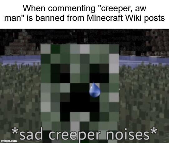 Sad Creeper Noise | When commenting "creeper, aw man" is banned from Minecraft Wiki posts | image tagged in memes | made w/ Imgflip meme maker