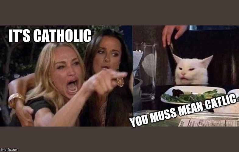 woman yelling at cat | IT'S CATHOLIC; YOU MUSS MEAN CATLIC | image tagged in woman yelling at cat | made w/ Imgflip meme maker