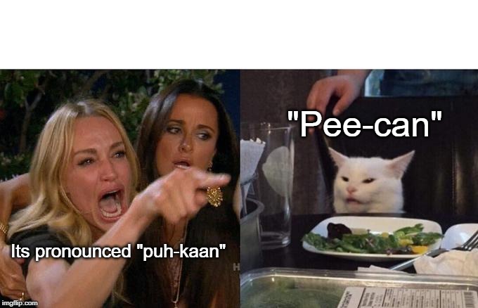 Woman Yelling At Cat | "Pee-can"; Its pronounced "puh-kaan" | image tagged in memes,woman yelling at a cat | made w/ Imgflip meme maker