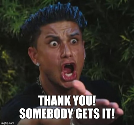 DJ Pauly D Meme | THANK YOU! SOMEBODY GETS IT! | image tagged in memes,dj pauly d | made w/ Imgflip meme maker