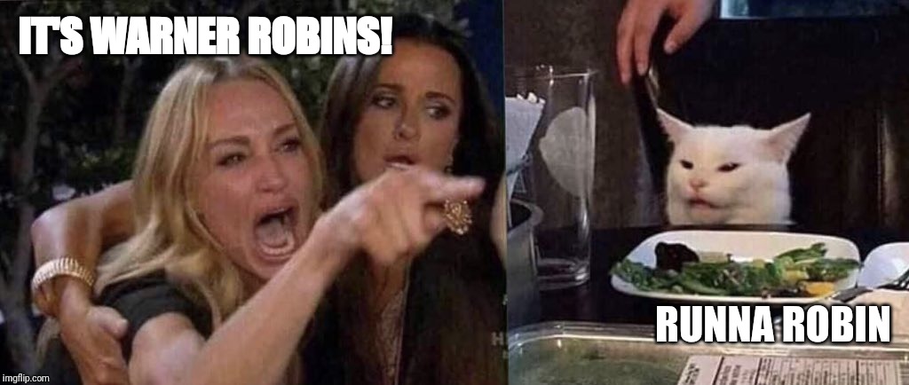 woman yelling at cat | IT'S WARNER ROBINS! RUNNA ROBIN | image tagged in woman yelling at cat | made w/ Imgflip meme maker