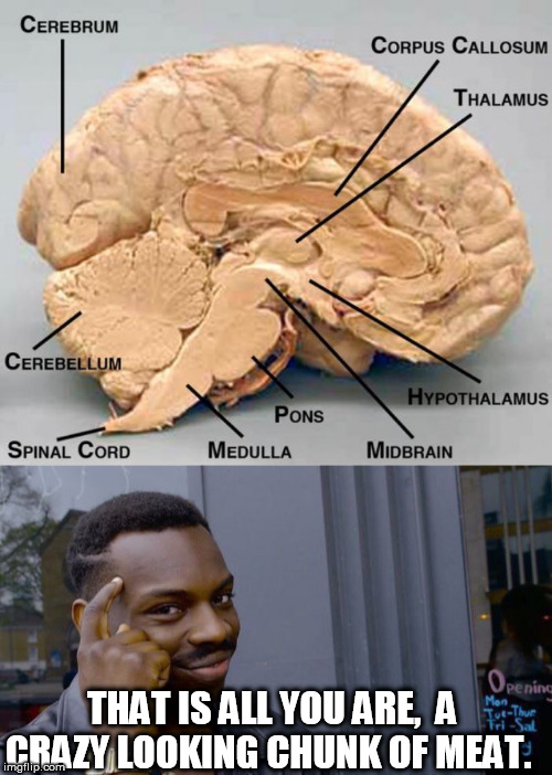 THAT IS ALL YOU ARE,  A CRAZY LOOKING CHUNK OF MEAT. | image tagged in memes,roll safe think about it,you | made w/ Imgflip meme maker