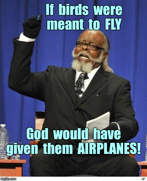 UNNATURAL!!! | If  birds  were
meant  to  FLY; God  would  have
given  them  AIRPLANES! | image tagged in too damn high,birds,unnatural,rick75230,memes | made w/ Imgflip meme maker