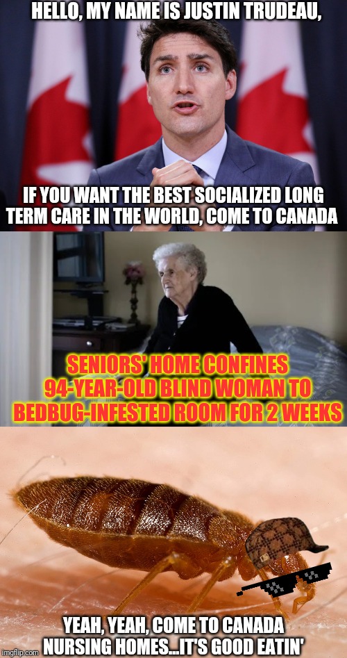 Canadian Nursing Homes are the best ever, just ask the bugs | HELLO, MY NAME IS JUSTIN TRUDEAU, IF YOU WANT THE BEST SOCIALIZED LONG TERM CARE IN THE WORLD, COME TO CANADA; SENIORS' HOME CONFINES 94-YEAR-OLD BLIND WOMAN TO BEDBUG-INFESTED ROOM FOR 2 WEEKS; YEAH, YEAH, COME TO CANADA NURSING HOMES...IT'S GOOD EATIN' | image tagged in canada,justin trudeau,senior abuse,liberal agenda,bedbugs,nursing home | made w/ Imgflip meme maker
