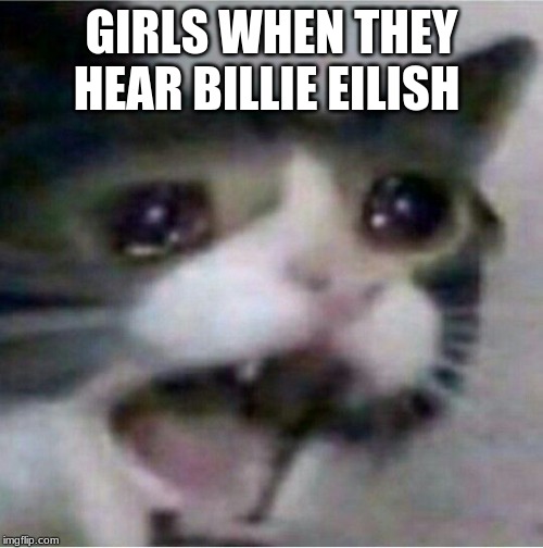 crying cat | GIRLS WHEN THEY HEAR BILLIE EILISH | image tagged in crying cat | made w/ Imgflip meme maker