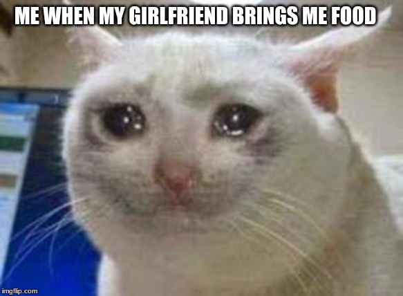 Sad cat | ME WHEN MY GIRLFRIEND BRINGS ME FOOD | image tagged in sad cat | made w/ Imgflip meme maker