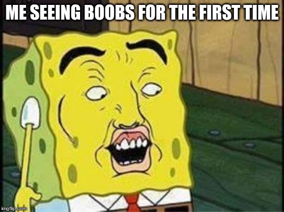 sponge bob bruh | ME SEEING BOOBS FOR THE FIRST TIME | image tagged in sponge bob bruh | made w/ Imgflip meme maker