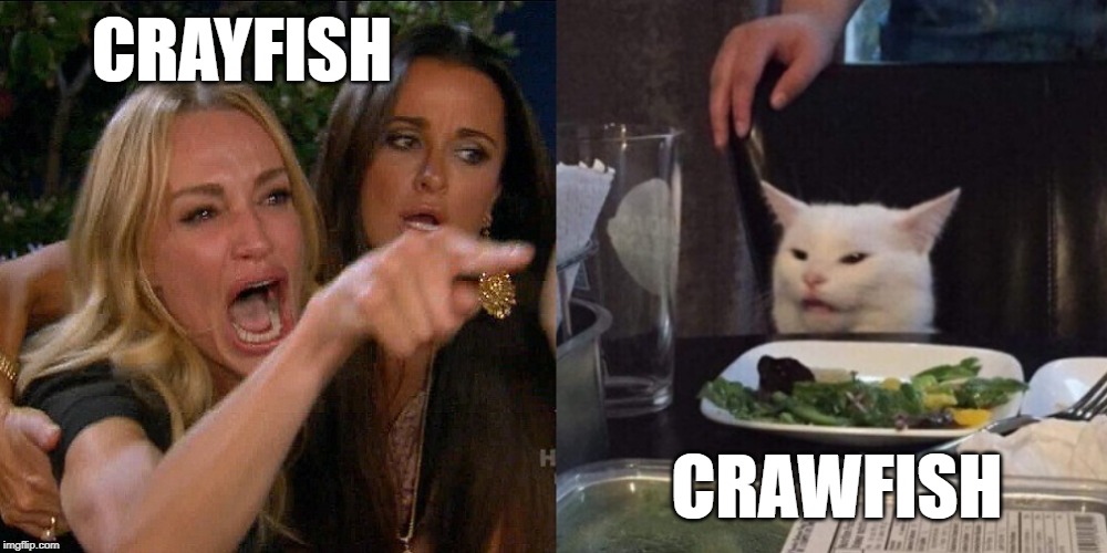 Crayfish Crawfish Lady Screaming at Cat | CRAYFISH; CRAWFISH | image tagged in woman yelling at cat,crayfish,crawfish | made w/ Imgflip meme maker