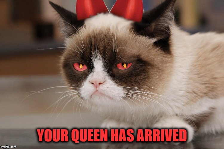 YOUR QUEEN HAS ARRIVED | made w/ Imgflip meme maker