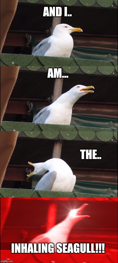 Inhaling Seagull | AND I.. AM... THE.. INHALING SEAGULL!!! | image tagged in memes,inhaling seagull | made w/ Imgflip meme maker